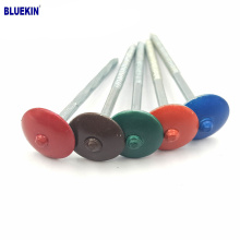 Color umbrella head roofing nail with washer from factory